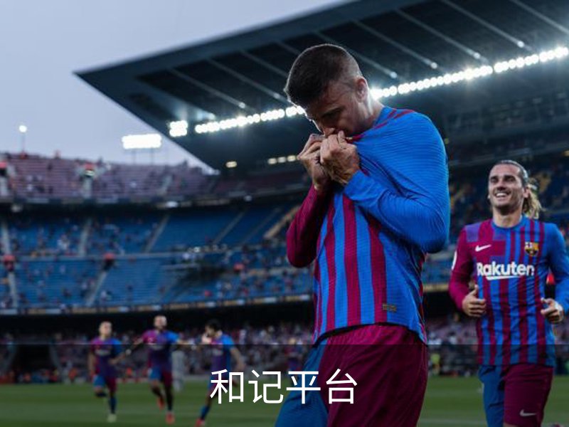 和记平台介绍